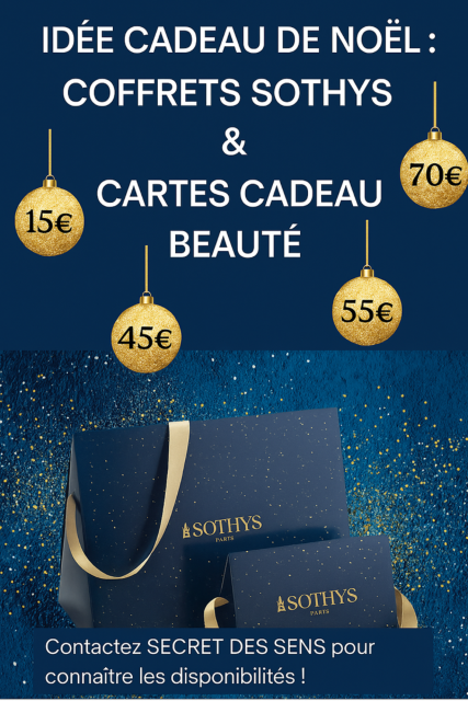 Idée cadeau pour noel à toulouse proche de Balma